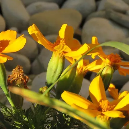 Gasthof Artemida Kulen Vakuf