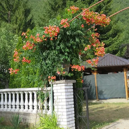 Artemida Konukevi Kulen Vakuf