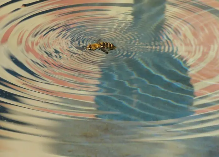 Artemida * Kulen Vakuf