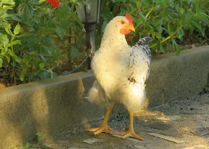 Artemida Penzion Kulen Vakuf